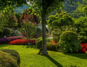 Košnja trave i uređenje okućnice