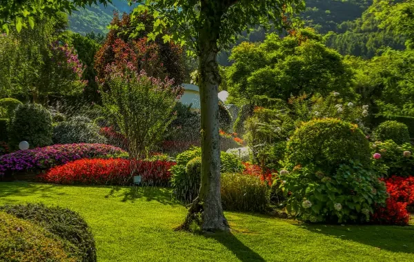 Košnja trave i uređenje okućnice